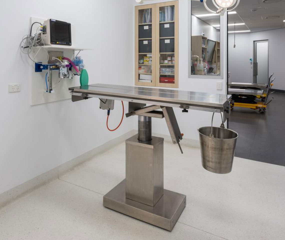Sedation & Anaesthesia