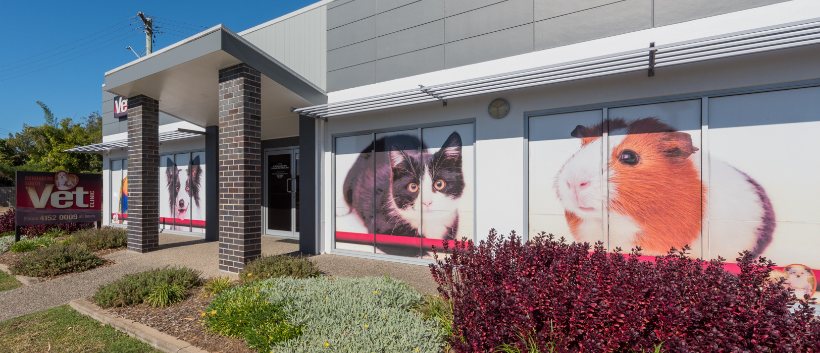 Bundaberg South Vet Clinic building showing animal images in the windows