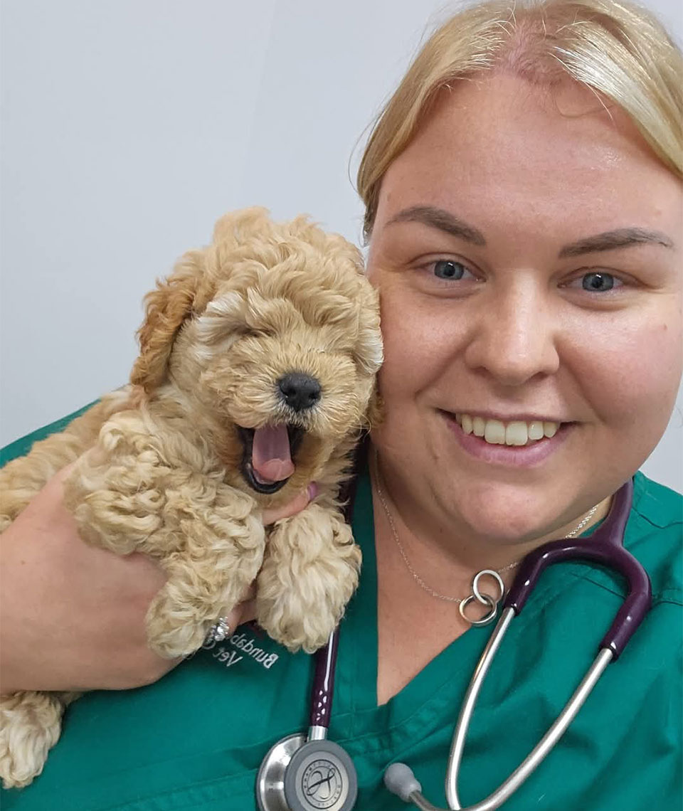 Bundaberg South Vet - Acupuncture & Integrative Medicine