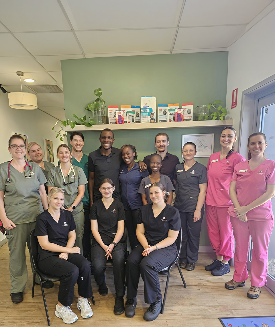 Bundaberg South Vet - Careers