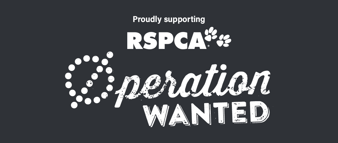 Bundaberg South Vet - RSPCA Operation Wanted - 20% Off Desexing