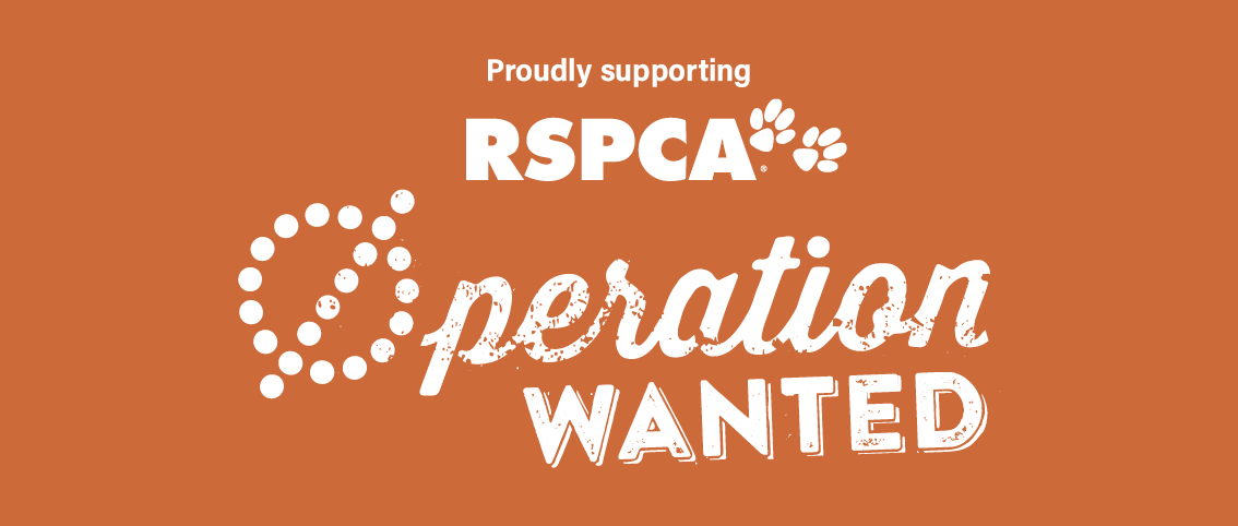 Bundaberg Vet Proudly Supporting RSPCA Operation Wanted - 20% Off Desexing